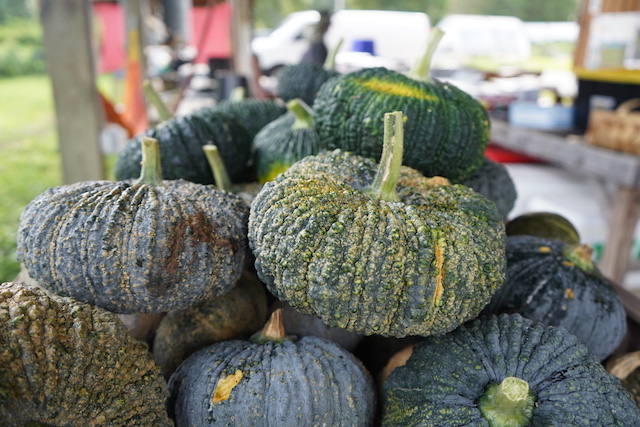 Thai Pumpkin