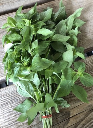 Lemon Basil